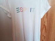 T-Shirt von Esprit - Homburg