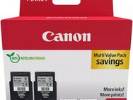 Canon PG-540L Doppelpack Tintenpatrone (Packung, 2-tlg)