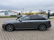 Audi S4, 3.0 Avant V6 TDI, Jahr 2024 - Achern