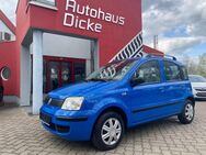 Fiat Panda 1.1 8V Joung Klima AHK 5türig Servo - Gera