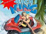 Beach King Stunt Racer PS2 Playstation Retro DAVILEX Game - Inwil