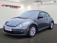 VW Beetle 1.8 TSI Exclusiv Klim*Shzg*Spieg.heizb*Te - Calden