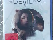 The Dark Pictures Anthology: The Devil In Me (PS5) - Hemer