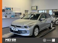 VW Golf Variant, 1.5 TSI Golf VIII Life, Jahr 2024 - Tostedt