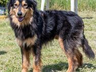 Big, ein feiner Kerl - Brunstorf