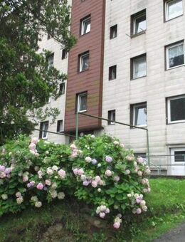 Renovierte 3 - Zimmer Wohnung in Stadtlage! - Passau