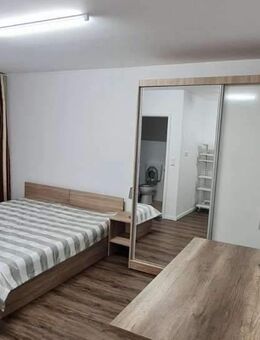 Renditestarke und gut vermietete, möblierte Apartmentwohnungen in Pforzheim - Pforzheim