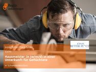Hausmeister :in (w/m/d) in einer Unterkunft für Geflüchtete - Schweitenkirchen