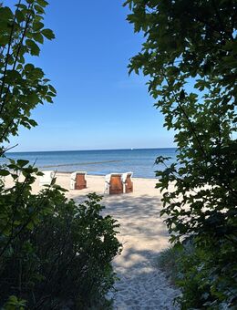 Welche Sie möchte für 7 Tage mit an die Ostsee - Sangerhausen