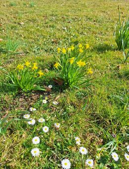 Wochenende. Was nun? - Winnenden