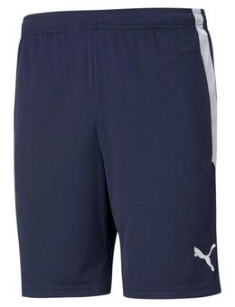 PUMA Trainingsshorts TEAMLIGA TRAINING SHORTS