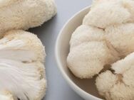 16 Typen Pilz Flüssigkultur Pilzmyzel Flüssigmyzel Mushroom Liquid Culture Mycelium 🧫💉🍄 - Hamburg