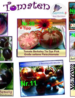 ♥ Lila blau schwarze Tomaten Samen Alte Sorten Gemüse Tulpenstolz,Garten,bunt,gesund,samenfest,süß - Hamburg