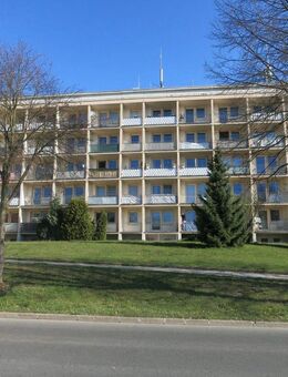 2-Zimmer-Wohnung mit Einbauküche, Waschmaschine und Balkon! - Bad Elster