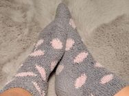 Kuschelsocken - Berlin