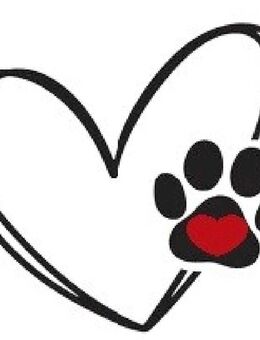 Hunde Gassi und Katzen - Service in Ihrer Nähe mit Herz und Erfahrung - Dammbach