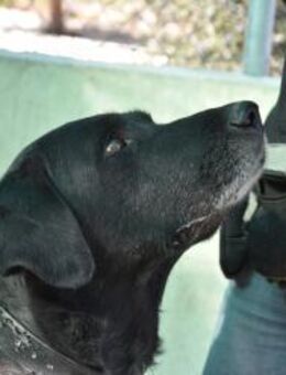 Fernando nur lieb Mr - Ludwigshafen (Rhein)