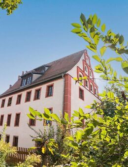 1 Raum Wohnung im Herzen von Grimma frisch renoviert - Grimma