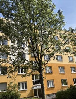 Provisionsfrei! Hochwertig kernsanierte 4-Zimmer ETW mit neuer EBK, für Familien oder Kapitalanleger - Coswig