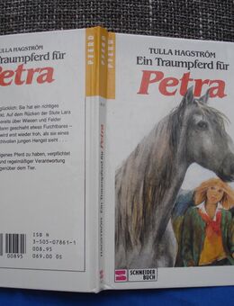 Ein Traumpferd für Petra Tulla Hagström - Friedrichsdorf