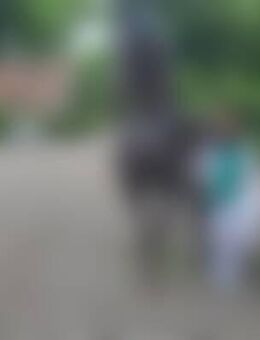 Sus*** - Rotenburg (Fulda)