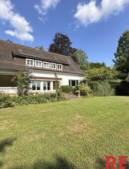 Lotusblüte - Bad Driburg