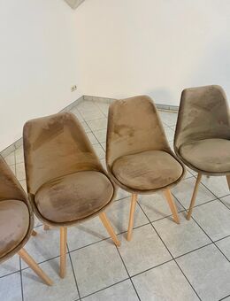 Küchenstühle / 4 Stück / Marke: CLP / Buchenholz-Gestell - Aldenhoven