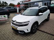 Citroën C5, Aircross 180 FEEL FULL, Jahr 2019 - Weimar