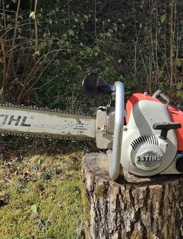 Sammler sucht Motorsägen - Tholey