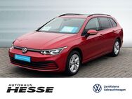 VW Golf Variant, 1.5 VIII eTSI Life, Jahr 2023 - Sottrum