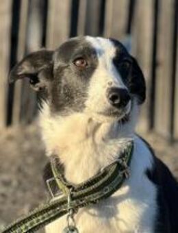 Evita wartet schon so lange - Berlin