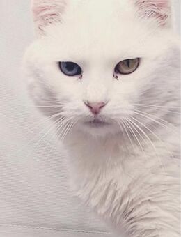 Geschwister Frieda und Mona - Margetshöchheim