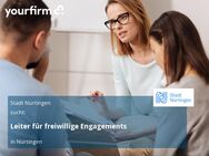 Leiter für freiwillige Engagements - Nürtingen