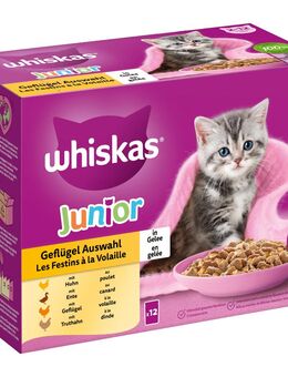 Megapack Whiskas Junior Frischebeutel 24 x 85 g - Geflügelauswahl in Gelee