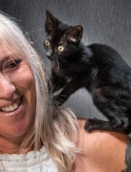 Salome, ein suesses Katzenkind - Brunstorf