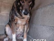 Lobita, besondere Schönheit - Berlin