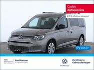 VW Caddy, Maxi Life TDI, Jahr 2023 - Wildau