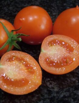 Utenok – Entlein MD - Zwergtomate - Stuttgart