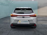 Lexus UX 250h, Luxury Line MARK-LEVINSON, Jahr 2020 - München