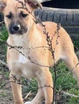 Marcie wartet auf ihr Ausreiseticket - München