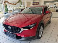 Mazda CX-30 Selection +BOSE+360°Kamera+Allwetter+ - Heidenau (Sachsen)