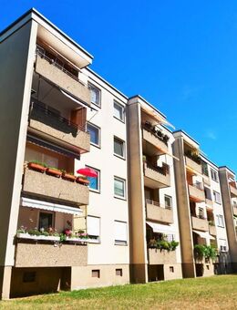 Demnächst frei! 2-Zimmer-Wohnung in Frankenthal (Pfalz) - Frankenthal (Pfalz)