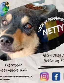 NETTY ist bereit für neue Abenteuer - Waakirchen