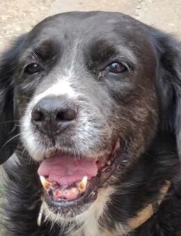 Myrtia musste schlimme Dinge erleben - Mettmann