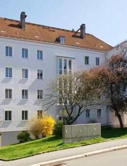 schöne helle Raum-Wohnung im Süden der Stadt - Plauen