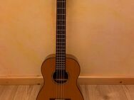 Bariton Ukulele doppelsaitig, KA-SACA-B8 - Witzenhausen