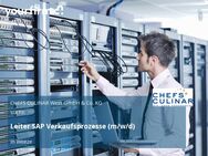 Leiter SAP Verkaufsprozesse (m/w/d) - Weeze