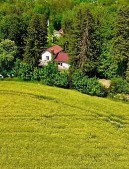 Chance! Traumgrundstück 1.750qm mit Altbestand und freiem Südblick in FFB! - Emmering (Landkreis Fürstenfeldbruck)