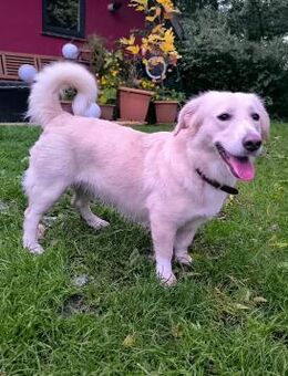 Quirlige Kiki Lee - Beckingen