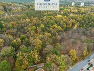 HEGERICH: Interessantes Baugrundstück mit verschiedenen Bebauungsmöglichkeiten - Nürnberg